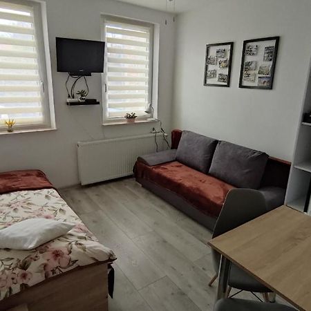 Апартаменти Apartament "Jelen" Cieplice Єленя-Ґура Екстер'єр фото